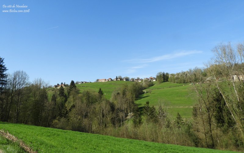 Côteau et combe du côté de Novalaise