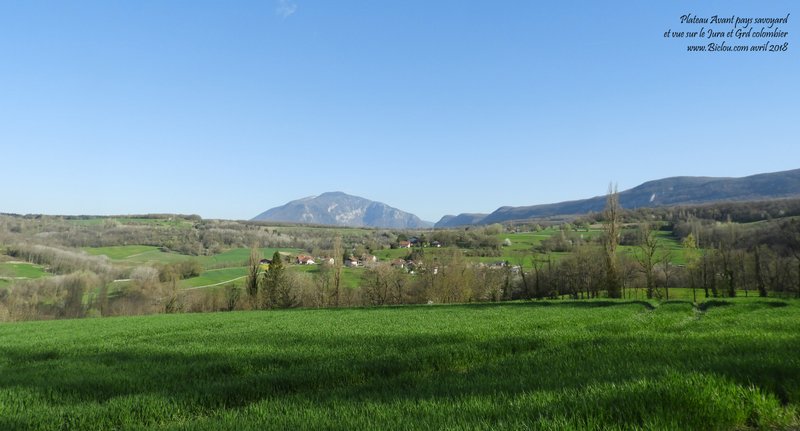 L'avant pays savoyard et vue sur les montagnes du Jura