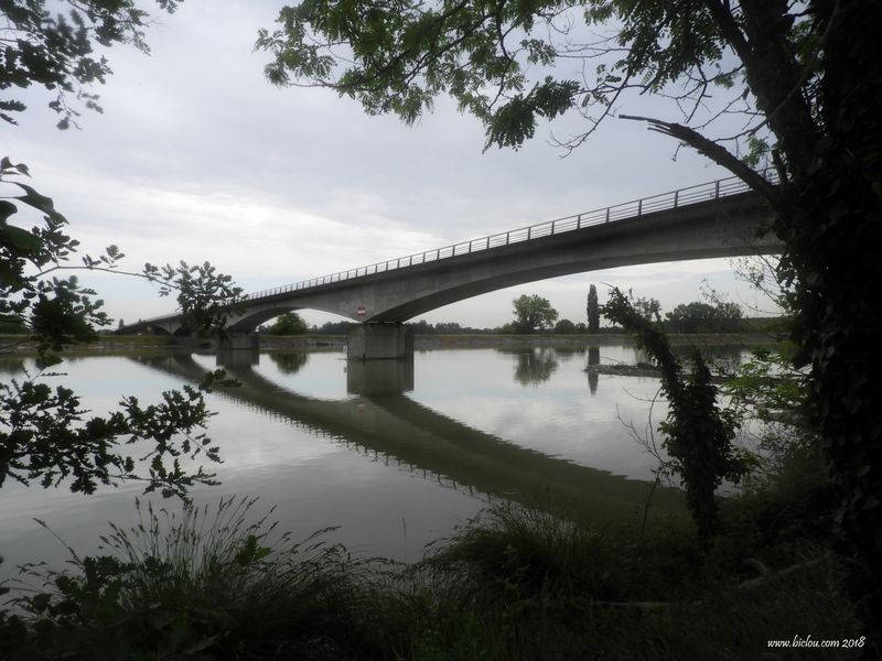La Garonne du côté de villeneuve d'Agen