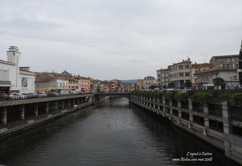 L'agout à Castres