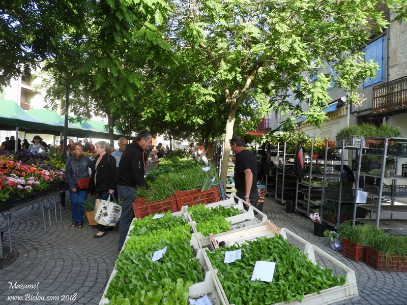 marché-de-mazamet-2018