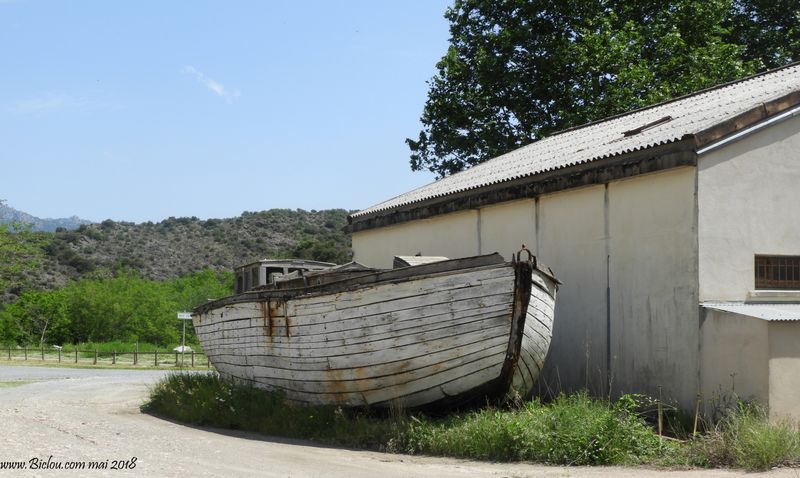 L'arche de Noe en haut-Languedoc ?