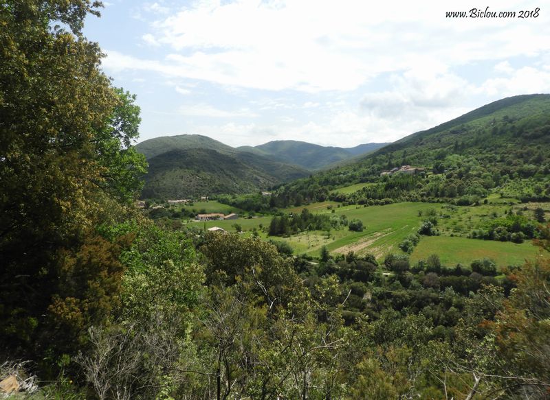 paysage-du-haut-languedoc