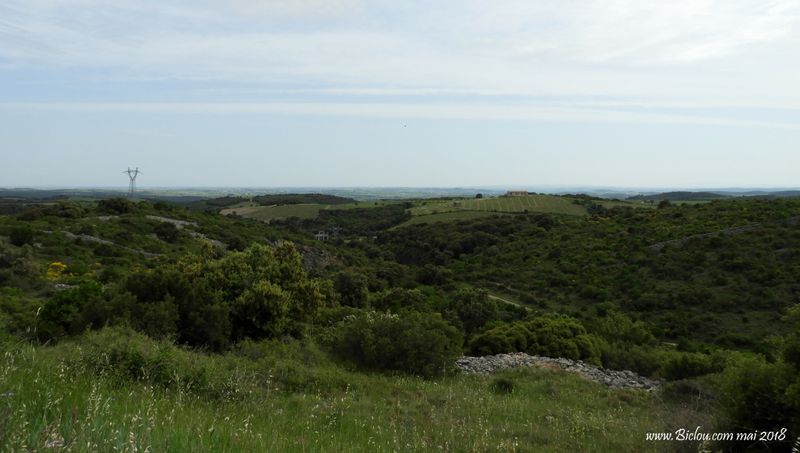 Descendant des monts de l'Espinouse : La mer est en vue du côté de cap d'Adge ...