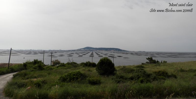 Le mont saint Clair au dessus de Sète et au delà Etang de Thau
