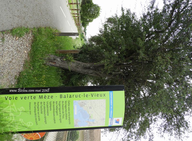 voie-verte-mèze-thau