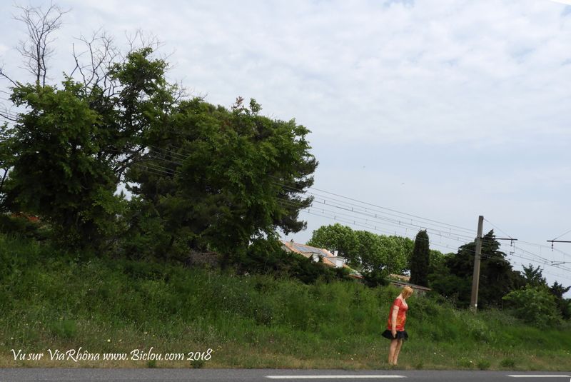 Manequin positionné en bordure de route pour inciter à ralentir