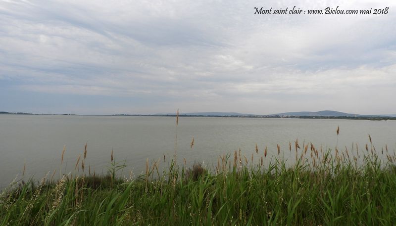 cette fois ci nous nous éloignons du Mont saint clair