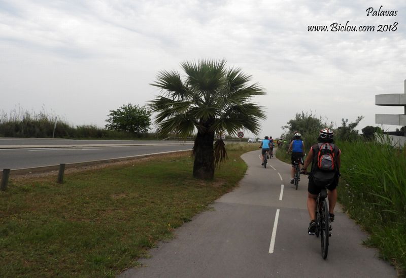jeunes cyclistes sur ViaRhôna à Palavas