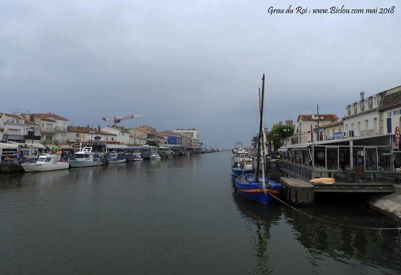 Le port de pêche du Grau du Roi