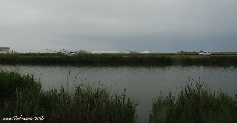 Les salines de Aigues Mortes