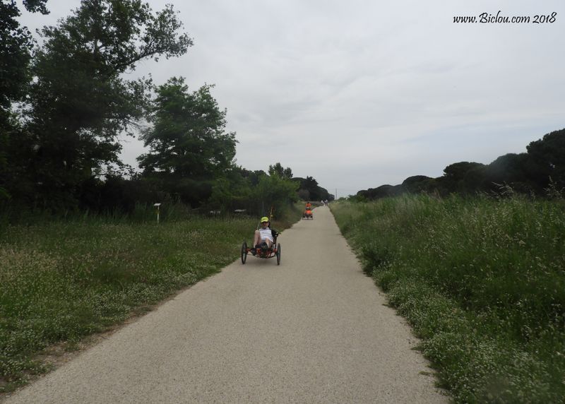 Vélo-couché de type Trike sur la voie verte vers Gallician (ViaRhôna)