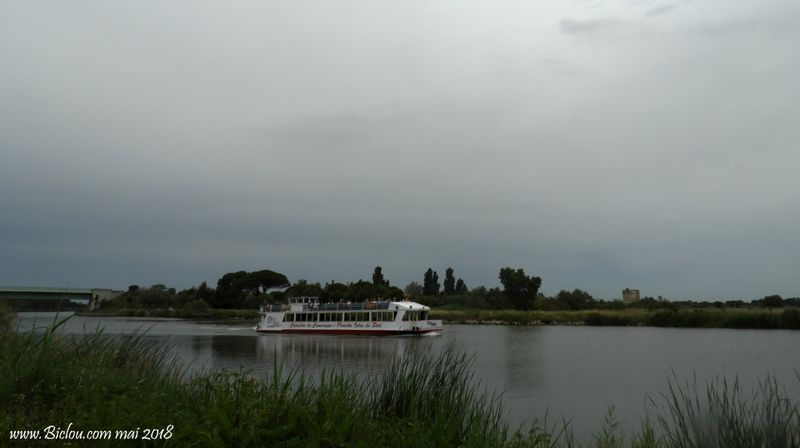 Promène couillons sur le canal du rhône à sète