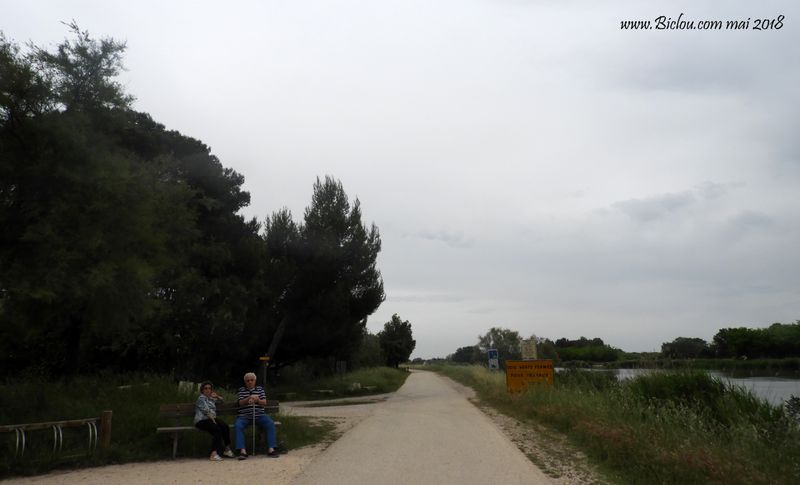 Attention : Travaux sur le canal du Rhône à Sète entre Gallician et Grau du Roi en mai juin 2018