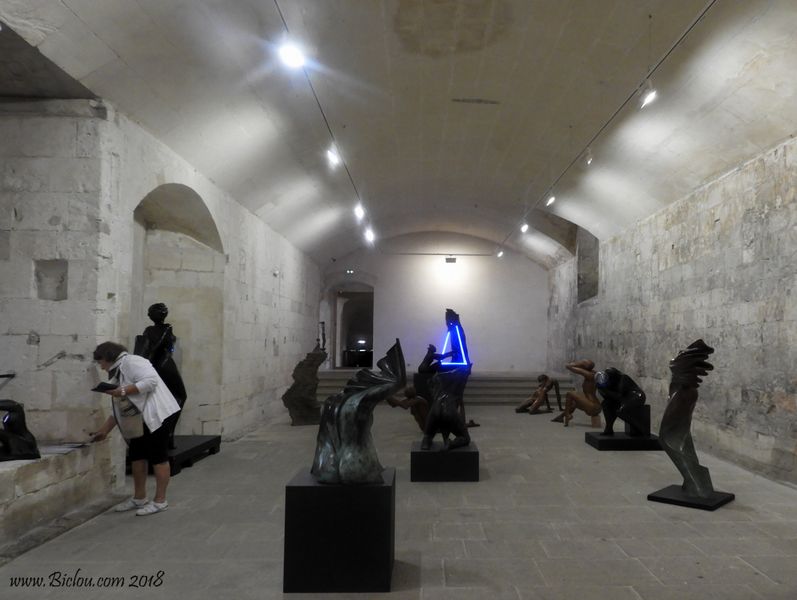 Musée et expo Baldini à Arles : 2018