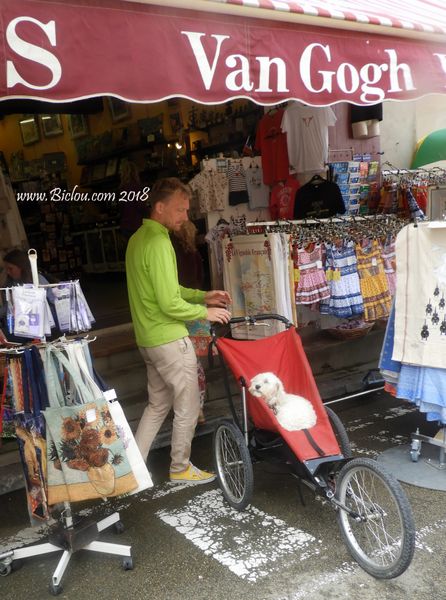 Le Chien Van Gogh