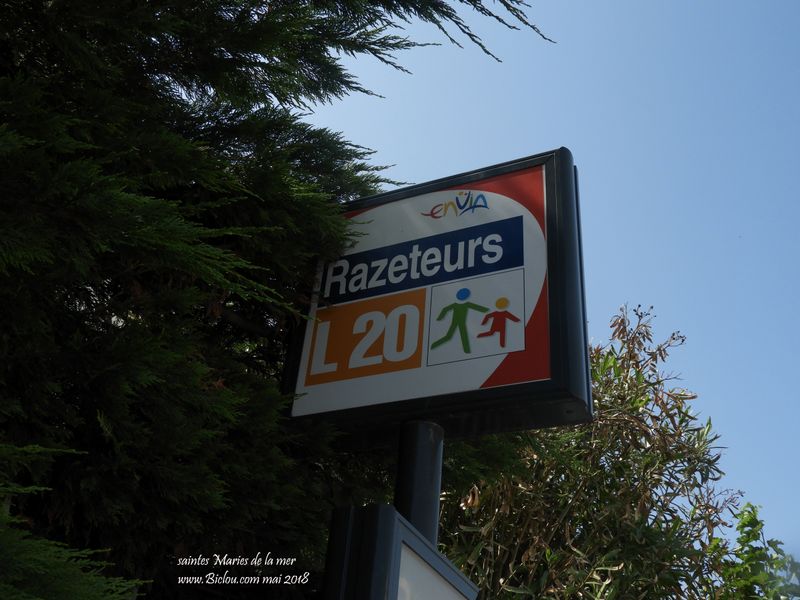 EnVia : Bus Arles saintes maries