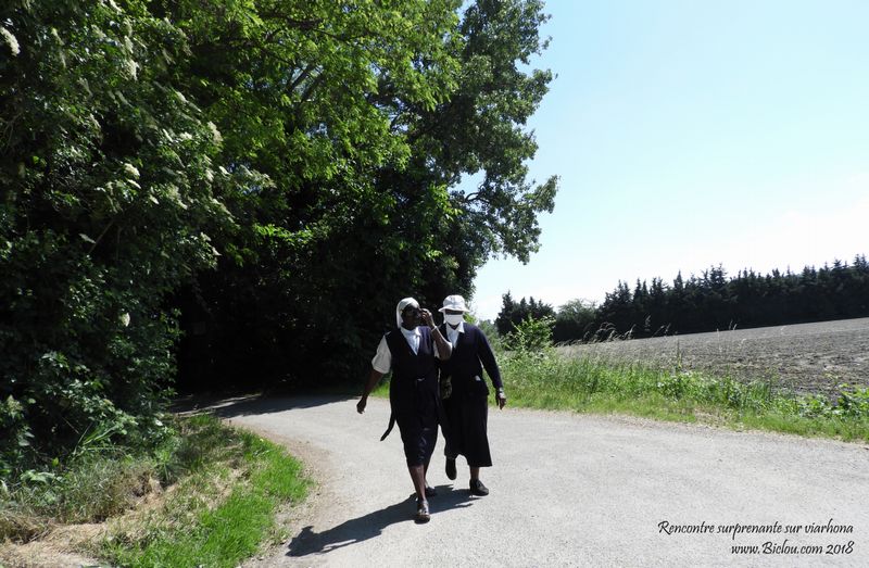 Apparition au détour d'un virage