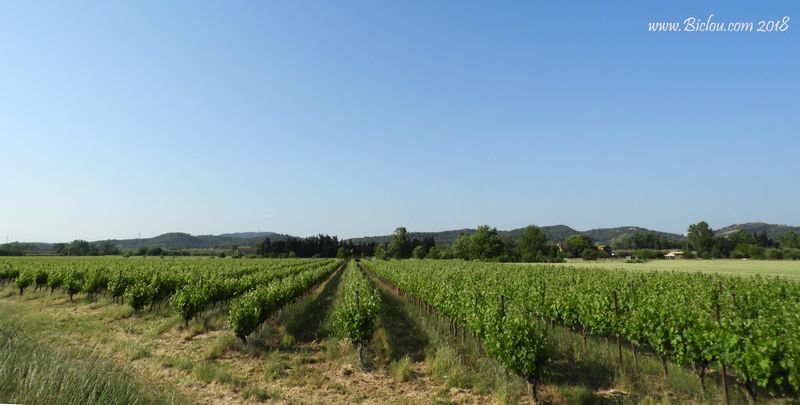 Paysage du Gard