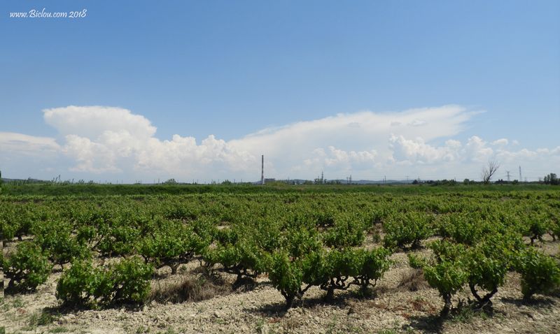 Ancienne centrale thermique de Aramon au delà des vignes
