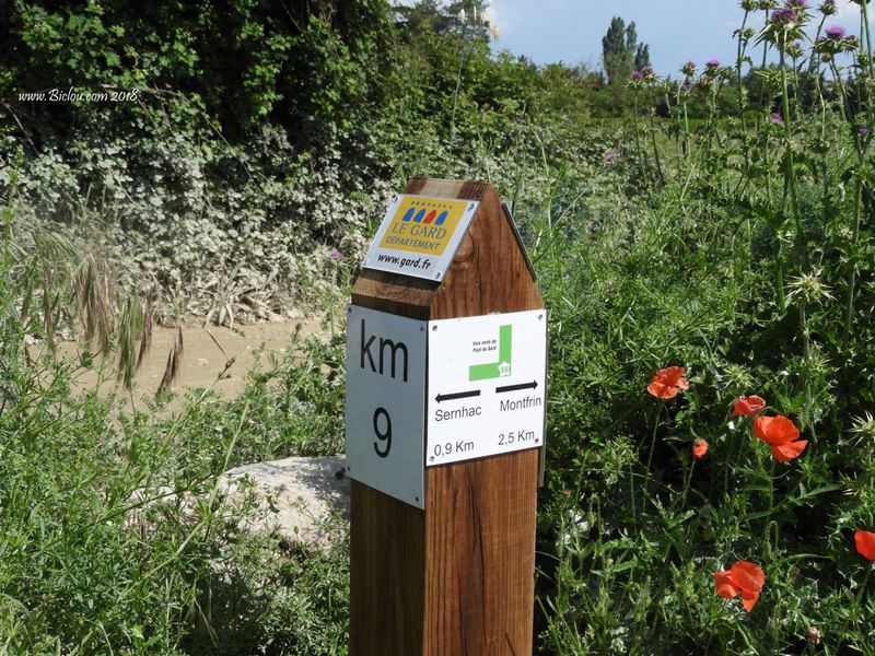 sur la voie verte Montfrin Remoulins