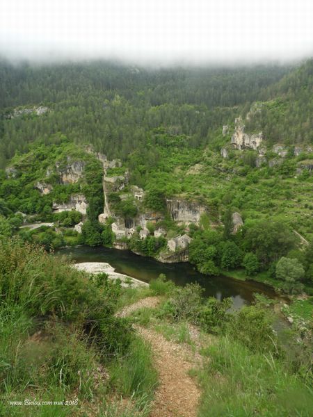 Le Tarnon, avant Florac