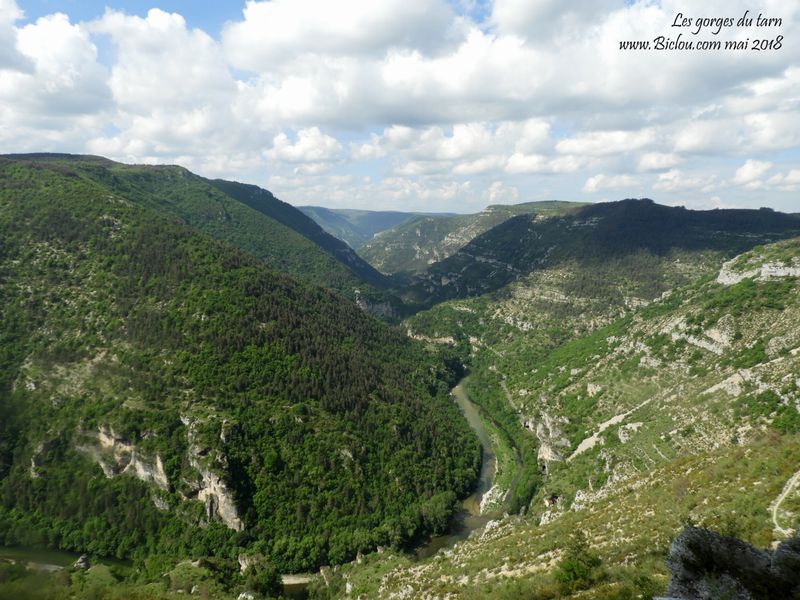 les-gorges-du-Tarn-et-causses