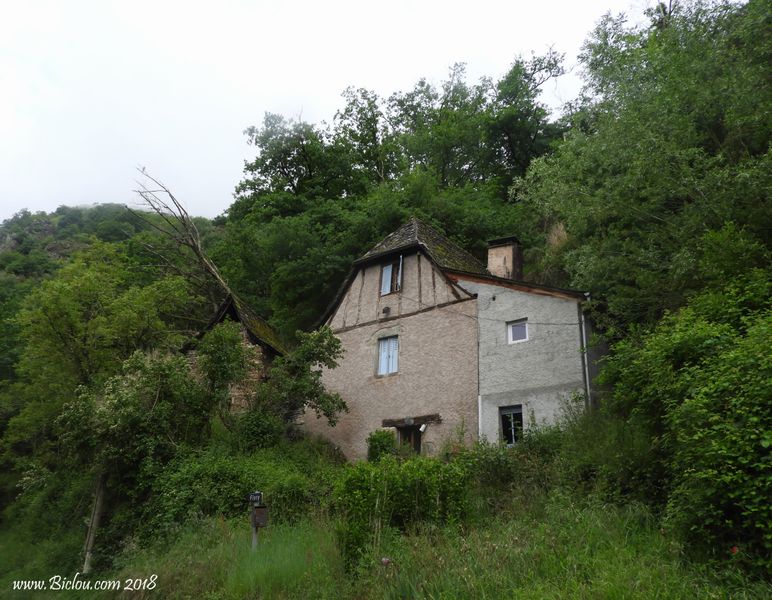 celle ci est un peu abîmée