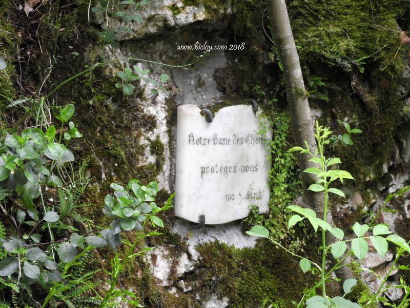 Notre dame des champs ; protégez nous 