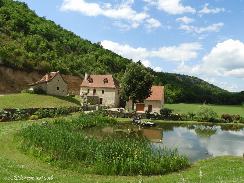 jolie-mare-en-célé