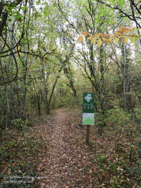 Chemin de traverse dans les bois entre Chancy et valleiry
