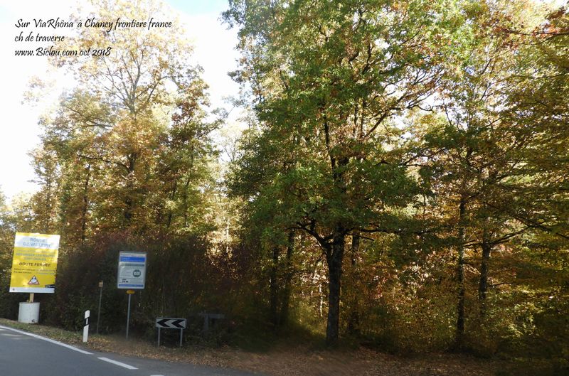 Sur ViaRhôna à Chancy, côté France, chemin à droite