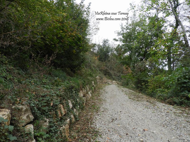 ViaRhôna : Sous Ternay passage .. technique, sinon Ya le D 12 en contrebas, ou bien Ternay plus haut