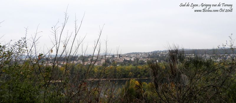 Sud de Lyon sur ViaRhôna, Niveau Ternay, par le chemin dans les bois, vue sur Grigny ..