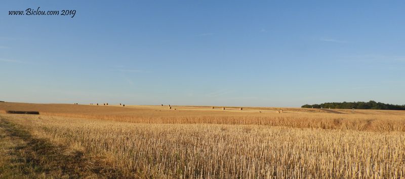 Plateau de Langres
