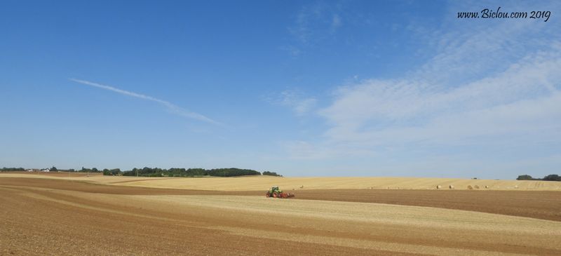 Travaux des champs en haute Marne