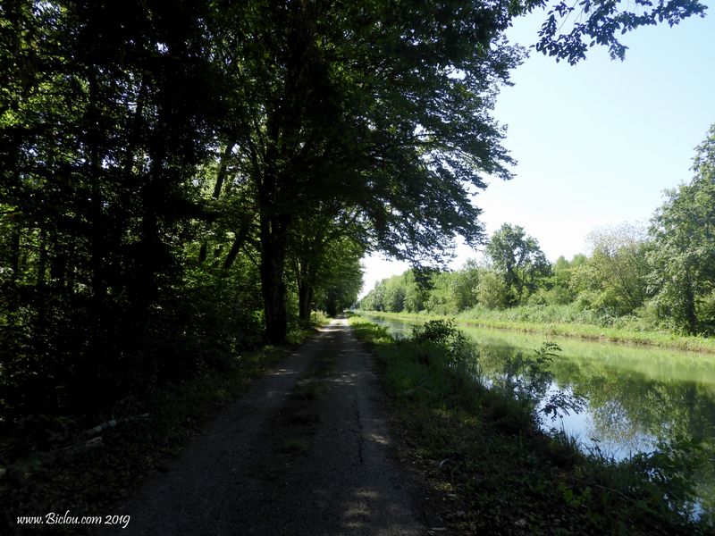 Les bords du canal sont bien ombragés