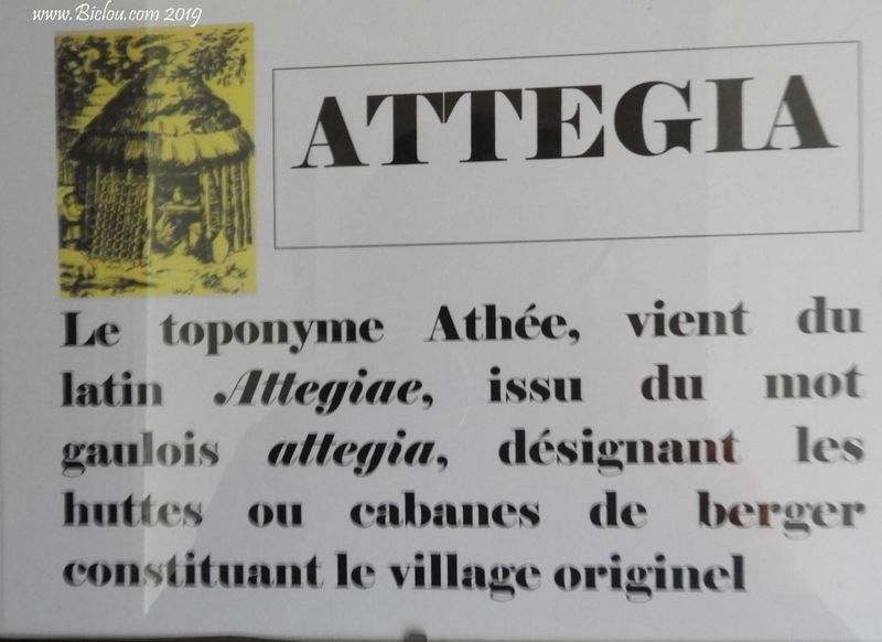 Attegia