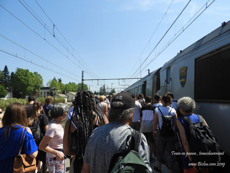 Train en panne en pleine voie : transbordement et 3 h de retard à Lyon ..