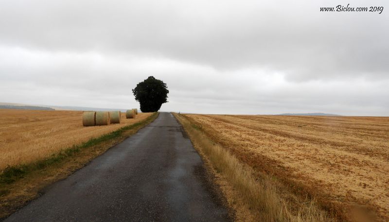 Sur la véloroute de la meuse, dans la pampa lorraine