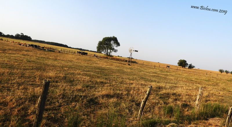Pompe éolienne sur le plateau de Langres