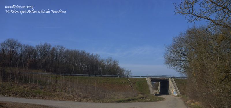 Sur ViaRhôna : Sortie du bois des Franchises