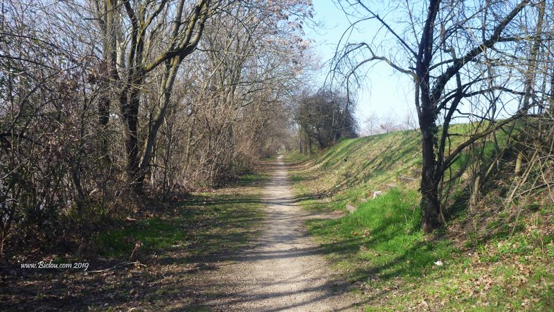 Le long du canal de Jonage à bicyclette, rive droite
