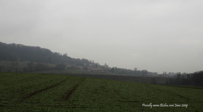 Pressilly dans la brume hivernale