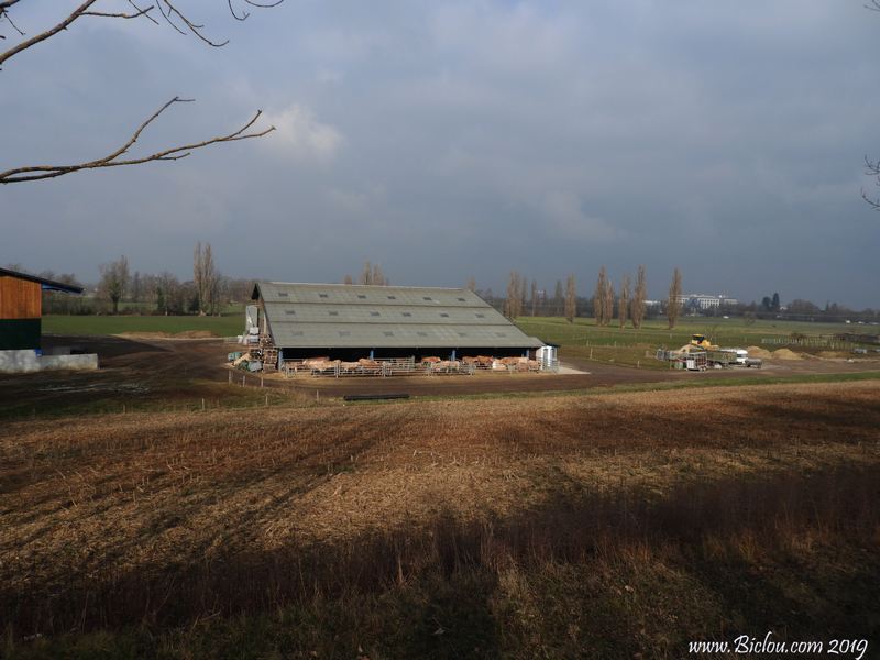 Ferme de : La Forge