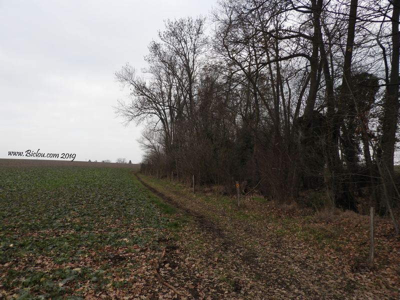 A travers la campagne genevoise vers Troinex