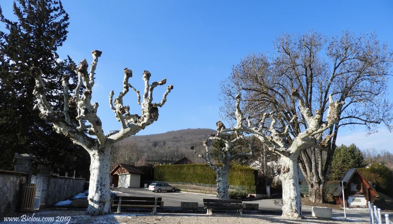 Pose casse croûte sous les platanes de Allonzier, et ça caille ..