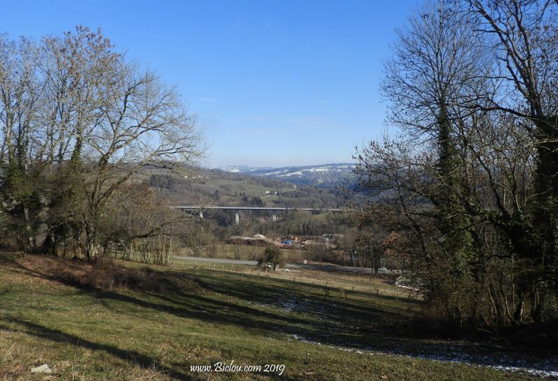 Pont routier de la Caille
