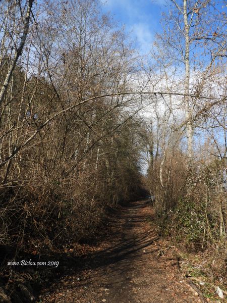 ON s'enfile dans les bois du chemin des ponts ..