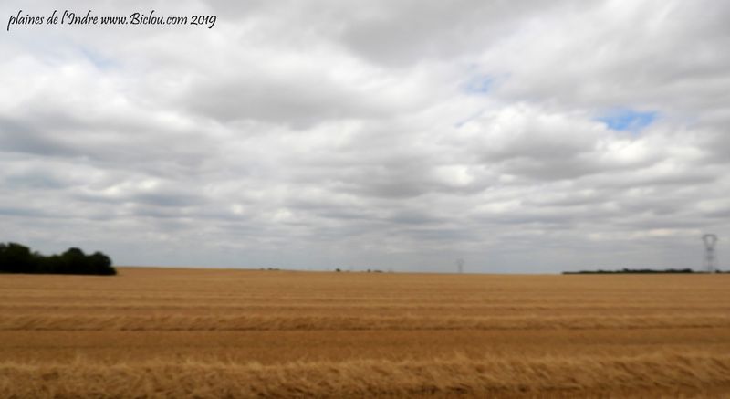 Plaine de l'Indre